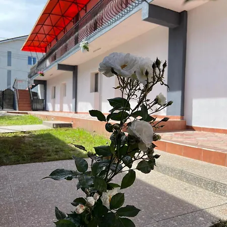 Radel House 科斯蒂内什蒂
