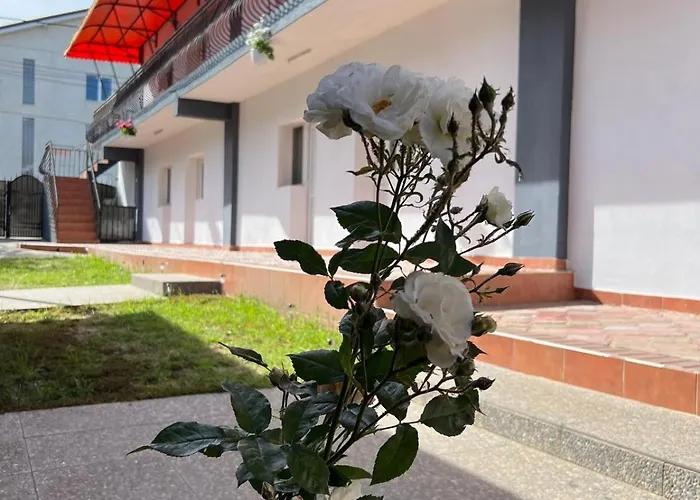 Radel House كوستِنيست